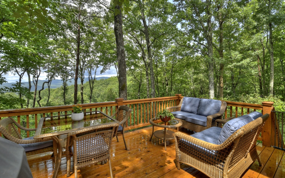 157 Little Bushy Head Road Blue Ridge, GA 30513 - Photo 9 of 50 Additional View