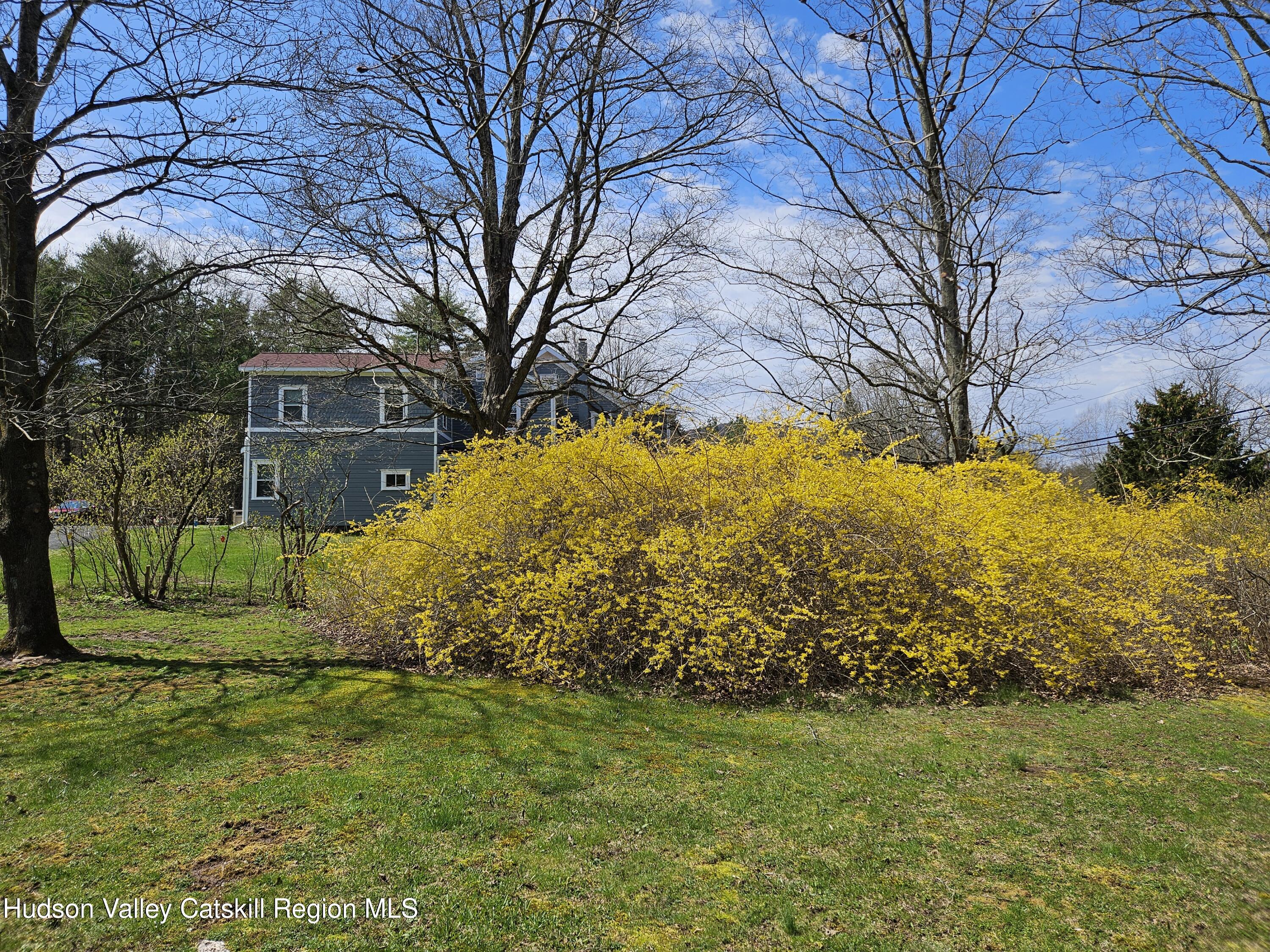 463 County Rt 46 Catskill, NY 12414 - Photo 43 of 47 House in background forsynthia in front