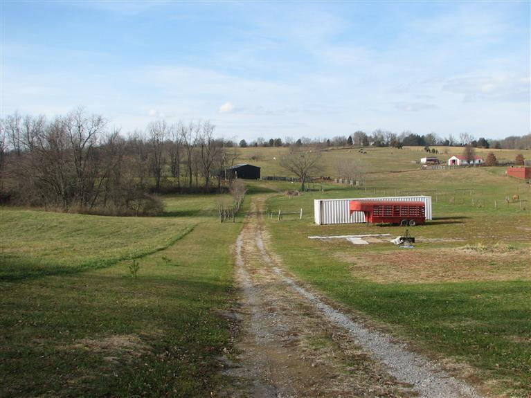 1335 Mundys Landing Road Versailles, KY 40383 - Photo 2 of 13 Photo 2