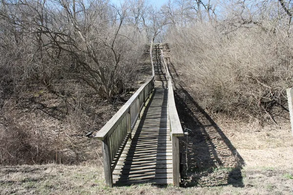 a view of a wooden bridge