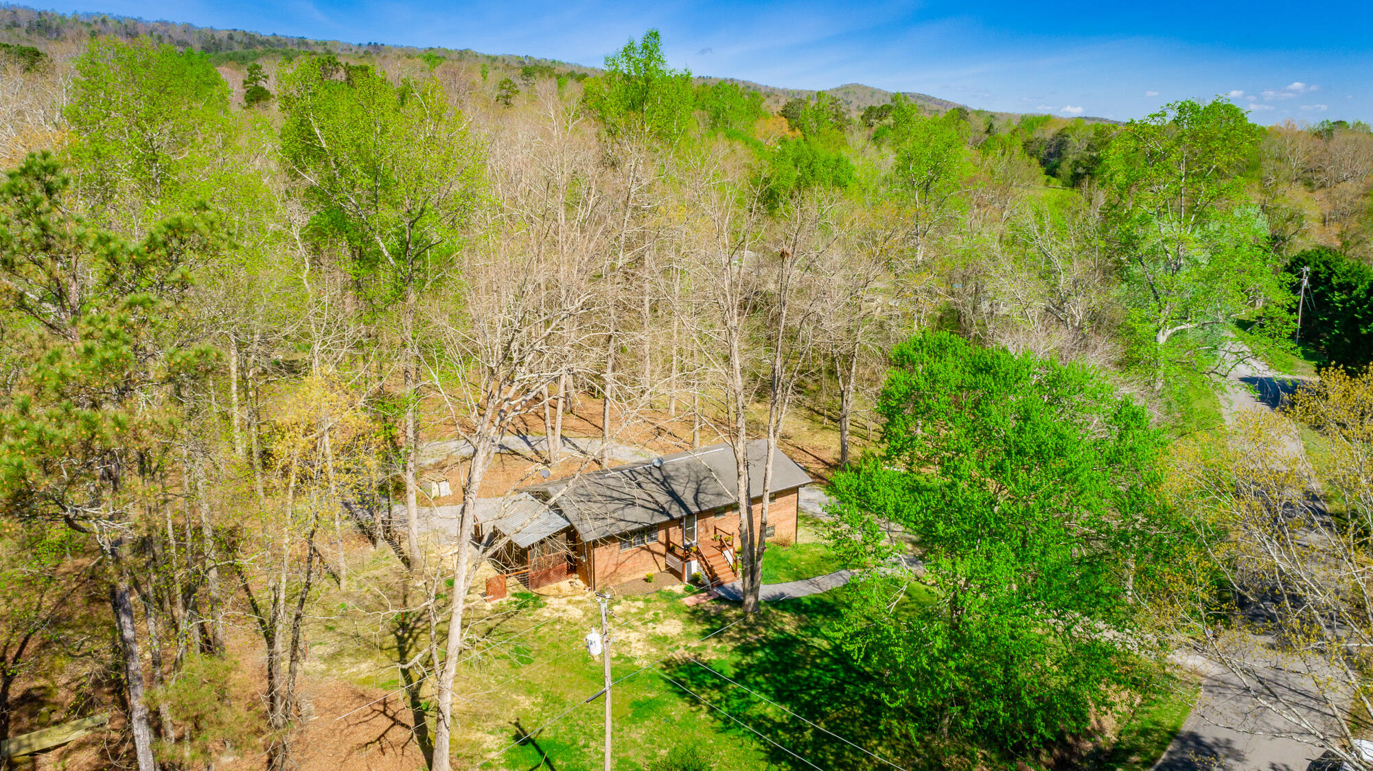 578 Capehart Road Ringgold, GA 30736 - Photo 5 of 62 578 Capehart Road HD-100