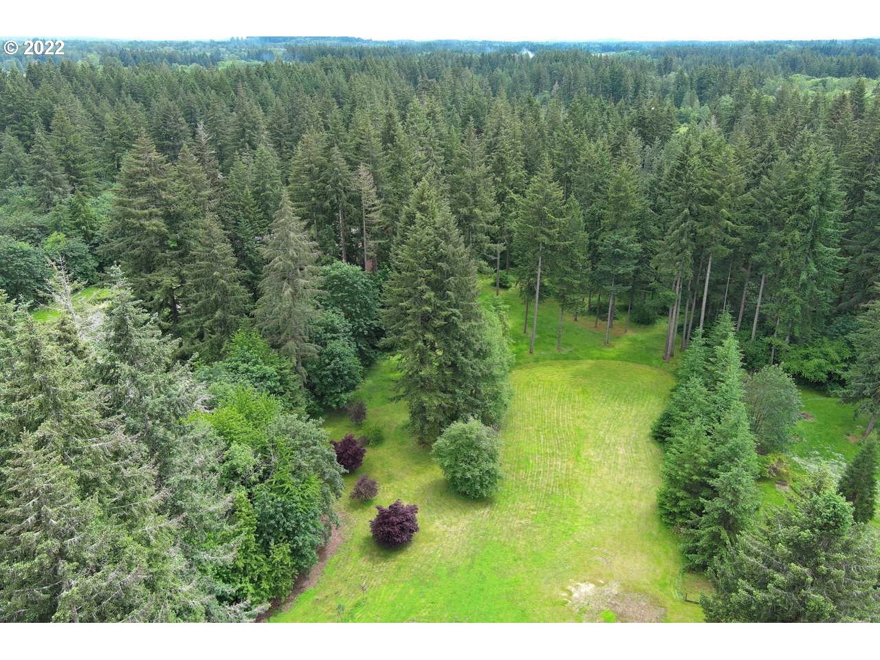 5803 Northeast 259th Street Ridgefield, WA 98642 - Photo 3 of 32 Acreage