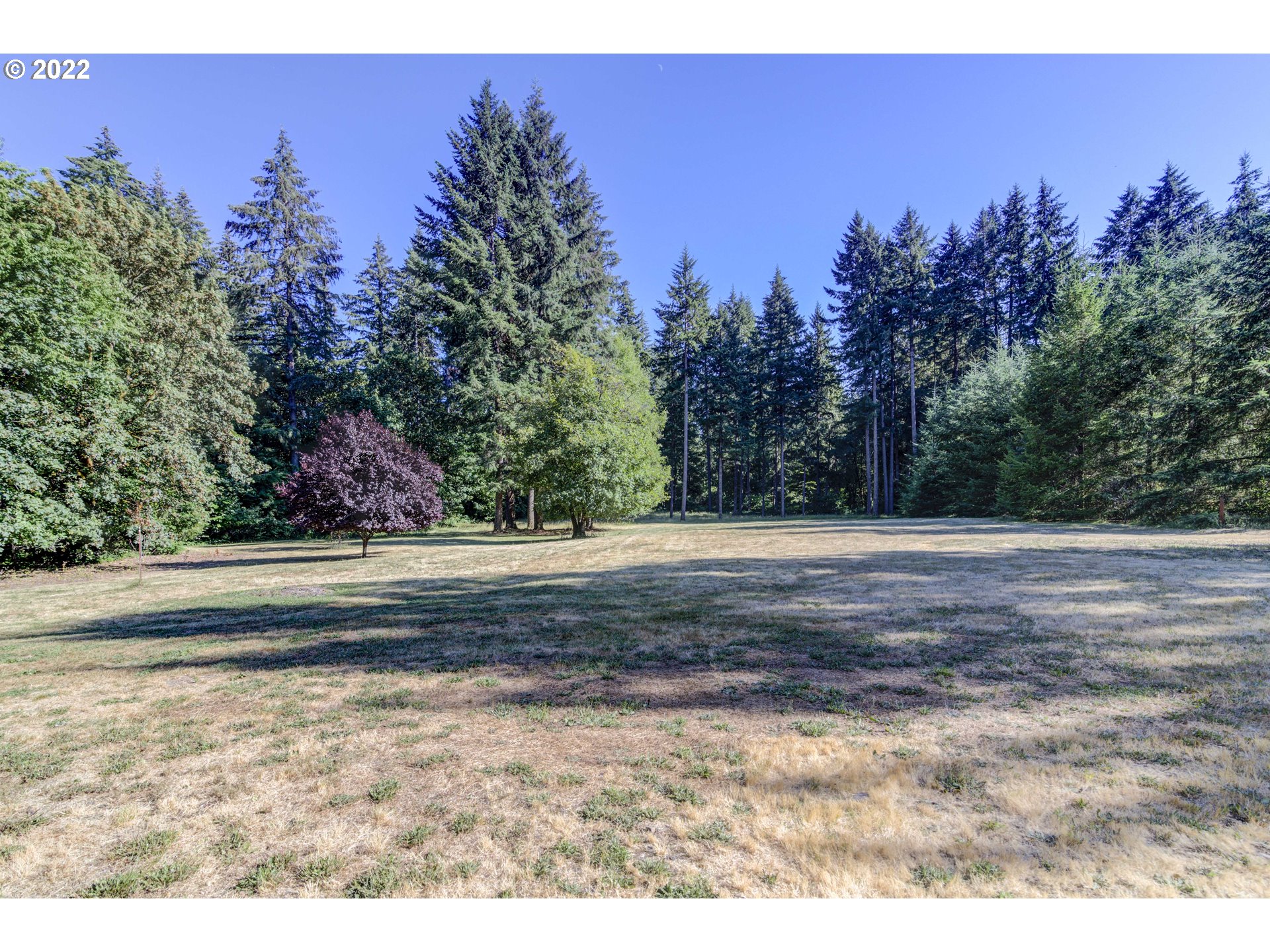 5803 Northeast 259th Street Ridgefield, WA 98642 - Photo 4 of 32 Gallery Image 4