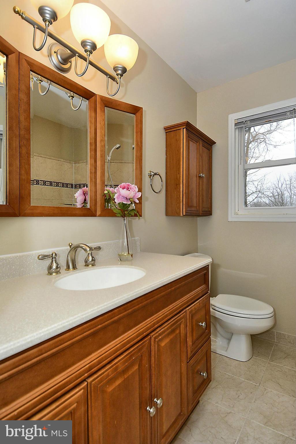 1870 Beulah Road Vienna, VA 22182 - Photo 15 of 30 a bathroom with a toilet sink and mirror