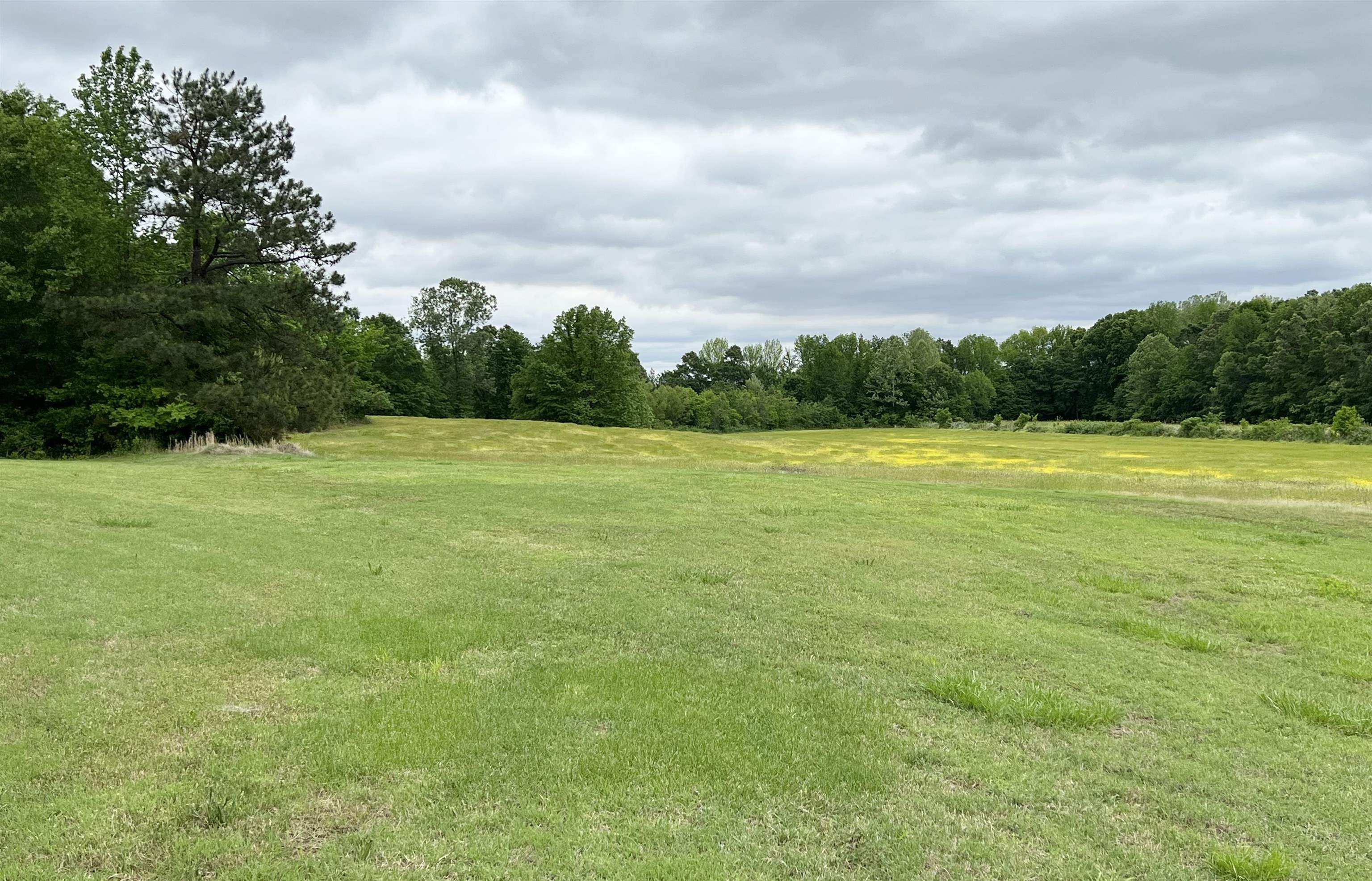 590 Hughes Road Brighton, TN 38011 - Photo 18 of 20 Gallery Image 18