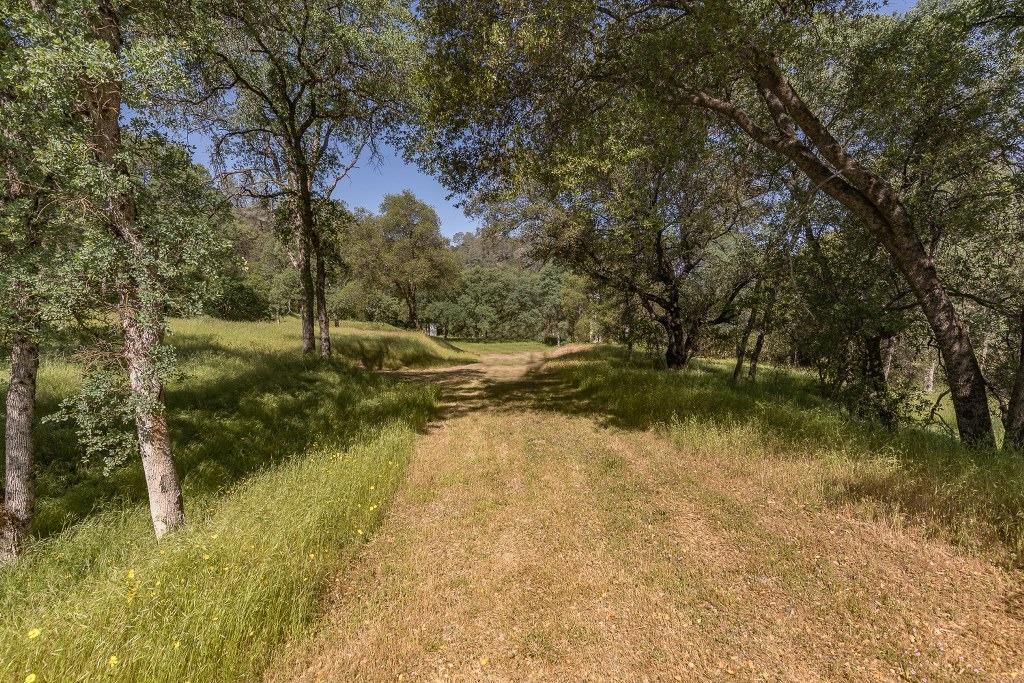 4269 Miwuk Road Mariposa, CA 95338 - Photo 12 of 68 Gallery Image 12