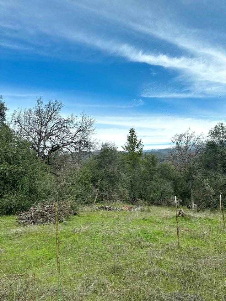4269 Miwuk Road Mariposa, CA 95338 - Photo 13 of 68 Gallery Image 13