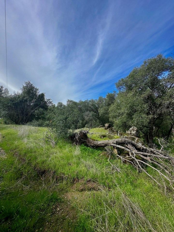 4269 Miwuk Road Mariposa, CA 95338 - Photo 14 of 68 Gallery Image 14