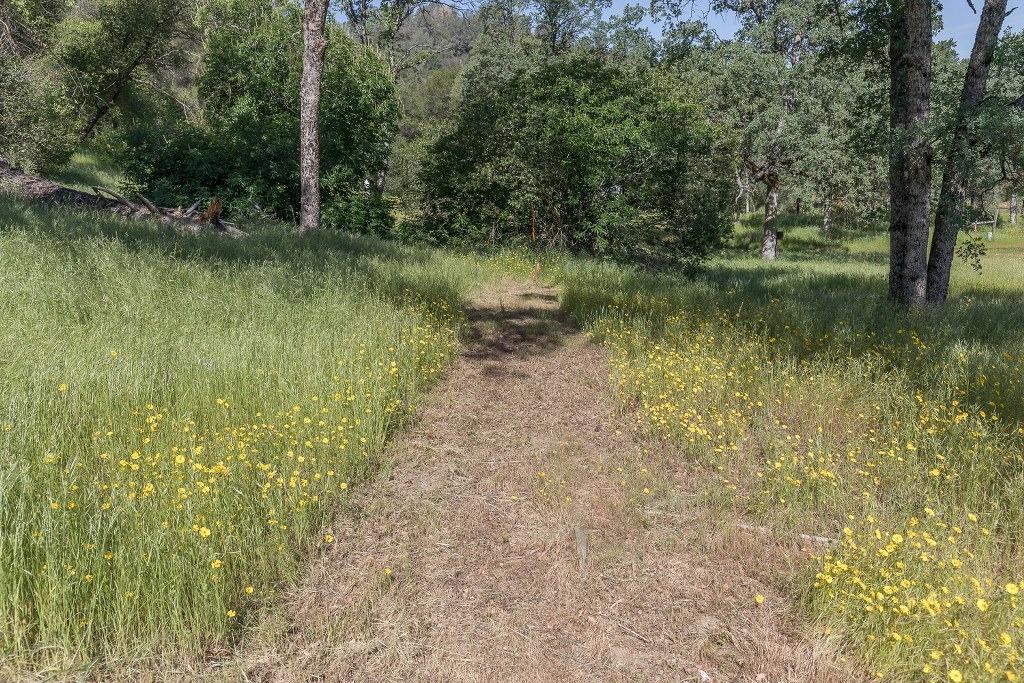 4269 Miwuk Road Mariposa, CA 95338 - Photo 15 of 68 Gallery Image 15