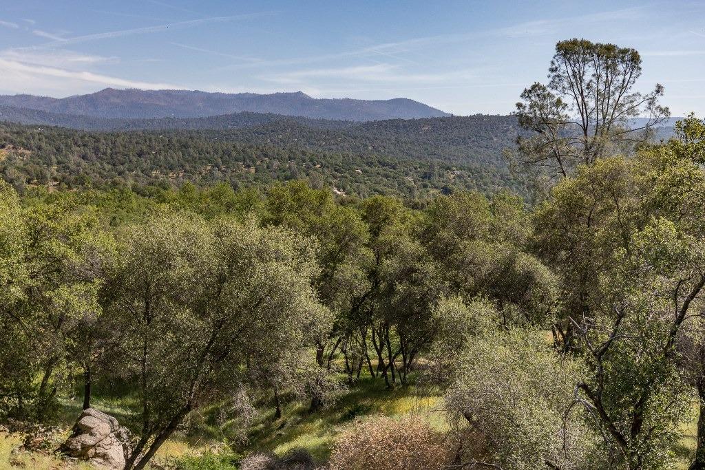 4269 Miwuk Road Mariposa, CA 95338 - Photo 20 of 68 Gallery Image 20