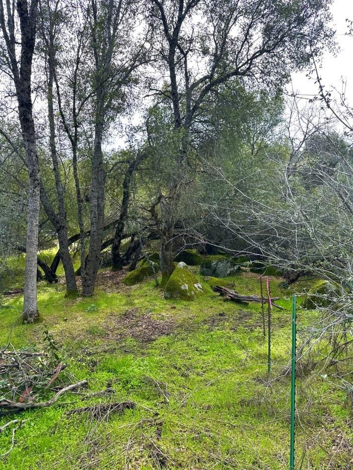 4269 Miwuk Road Mariposa, CA 95338 - Photo 24 of 68 Gallery Image 24