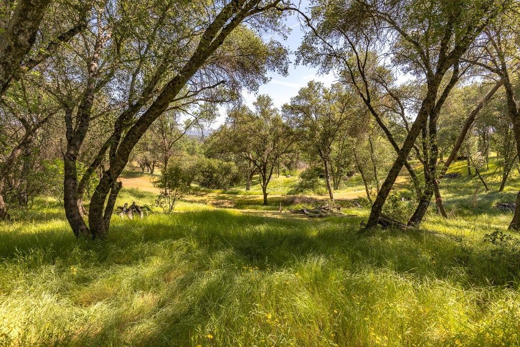 4269 Miwuk Road Mariposa, CA 95338 - Photo 29 of 68 Gallery Image 29