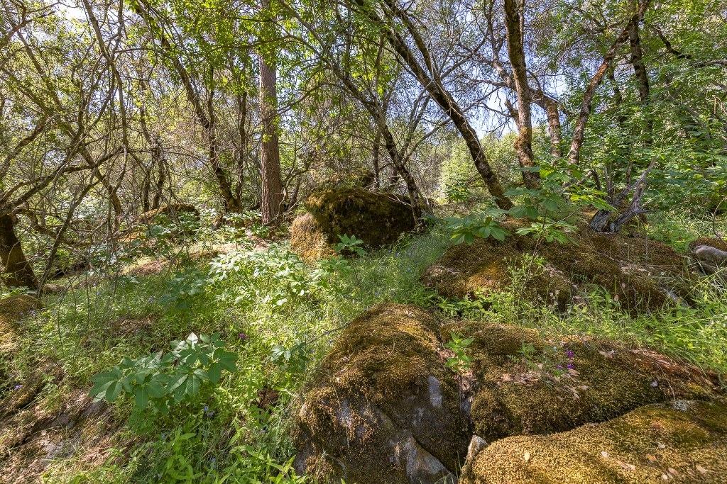 4269 Miwuk Road Mariposa, CA 95338 - Photo 31 of 68 Gallery Image 31