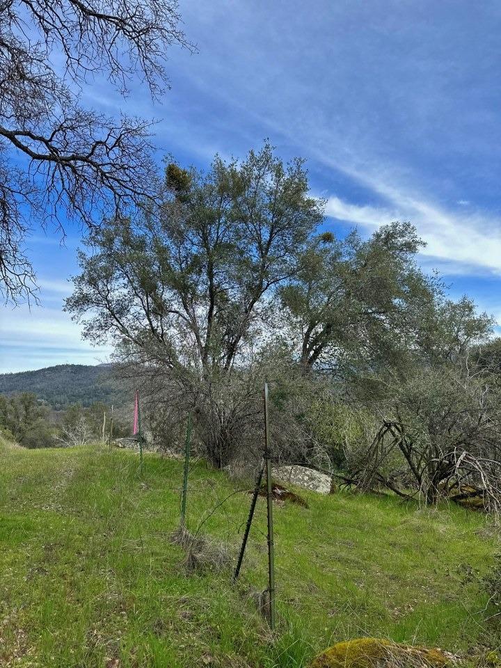 4269 Miwuk Road Mariposa, CA 95338 - Photo 33 of 68 Gallery Image 33