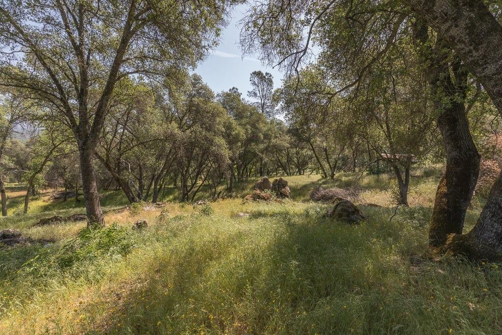 4269 Miwuk Road Mariposa, CA 95338 - Photo 34 of 68 Gallery Image 34