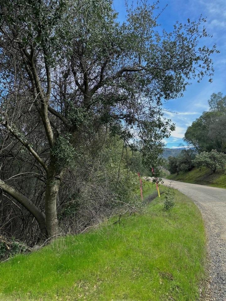 4269 Miwuk Road Mariposa, CA 95338 - Photo 38 of 68 Gallery Image 38