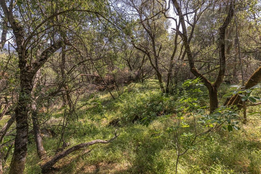 4269 Miwuk Road Mariposa, CA 95338 - Photo 43 of 68 Gallery Image 43