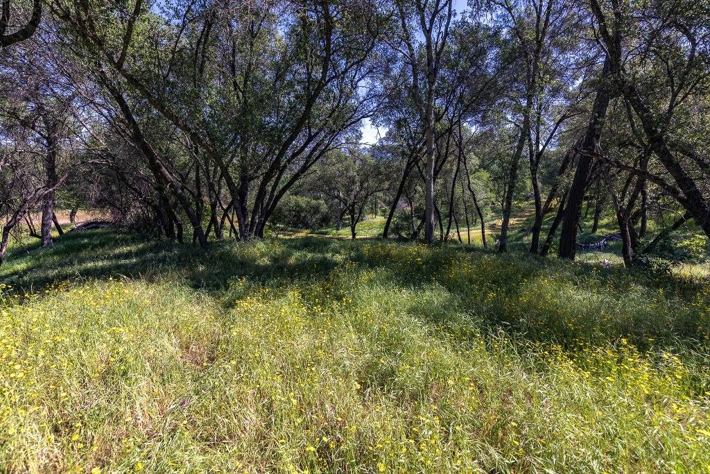 4269 Miwuk Road Mariposa, CA 95338 - Photo 44 of 68 Gallery Image 44