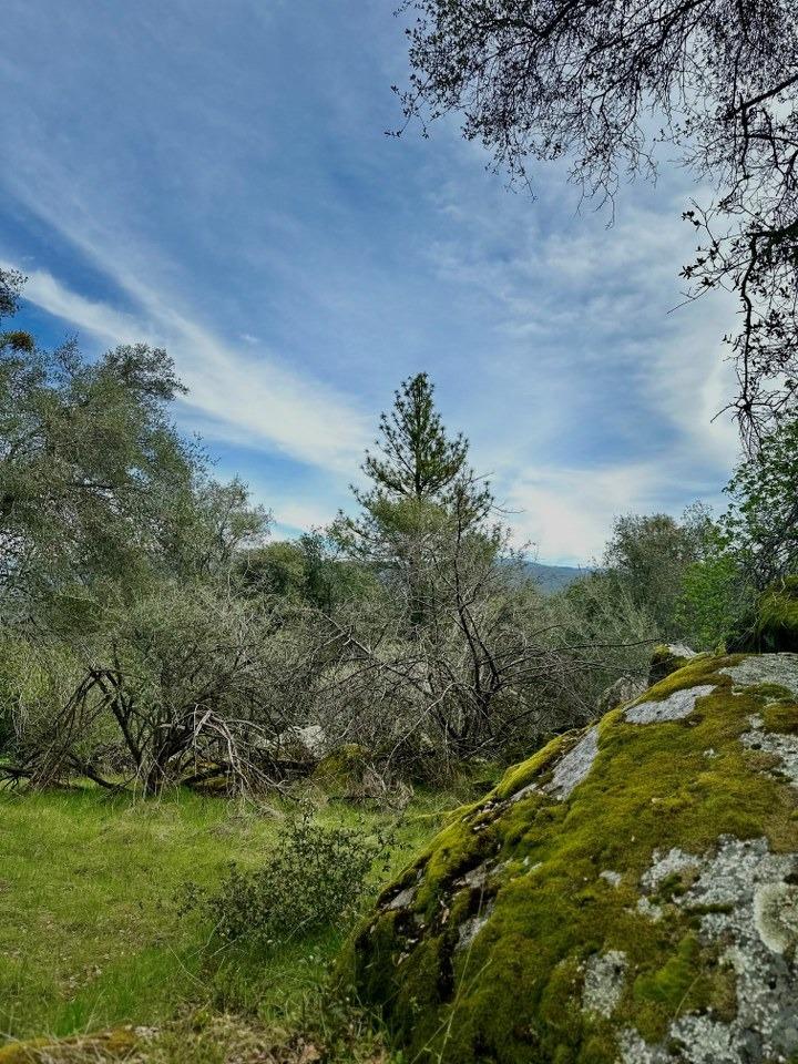 4269 Miwuk Road Mariposa, CA 95338 - Photo 5 of 68 Gallery Image 5