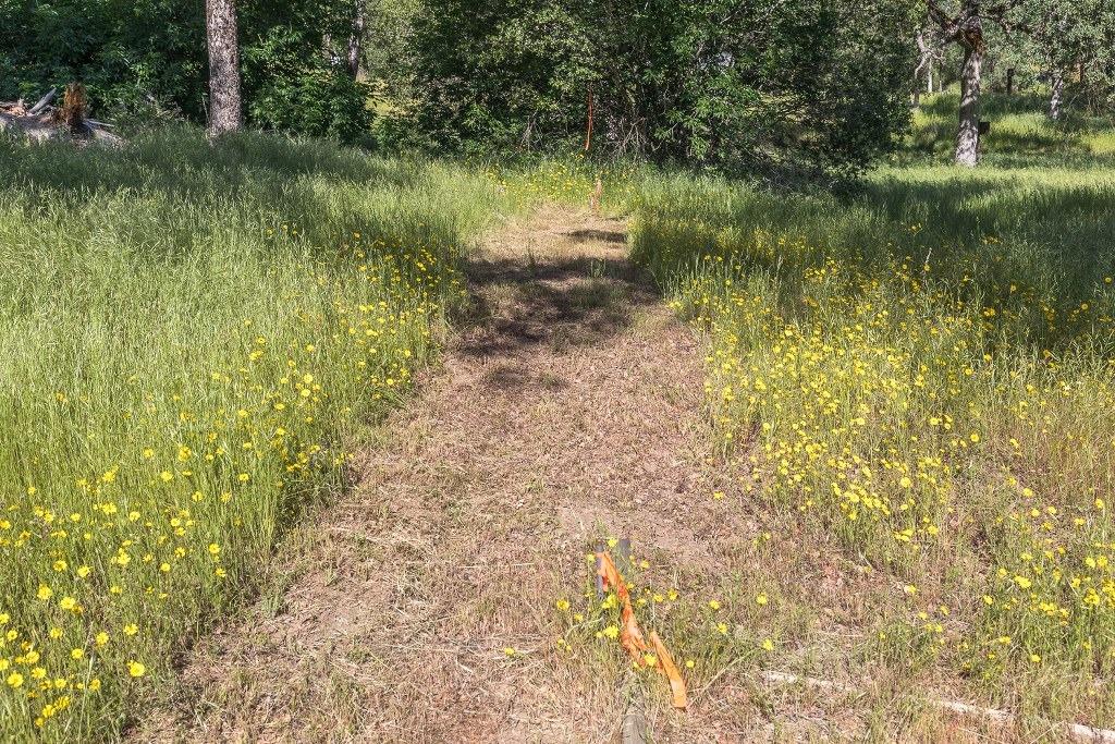 4269 Miwuk Road Mariposa, CA 95338 - Photo 54 of 68 Gallery Image 54