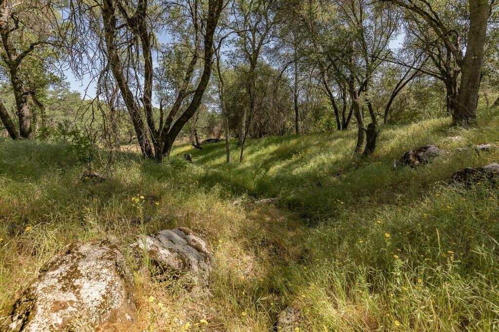 4269 Miwuk Road Mariposa, CA 95338 - Photo 57 of 68 Gallery Image 57