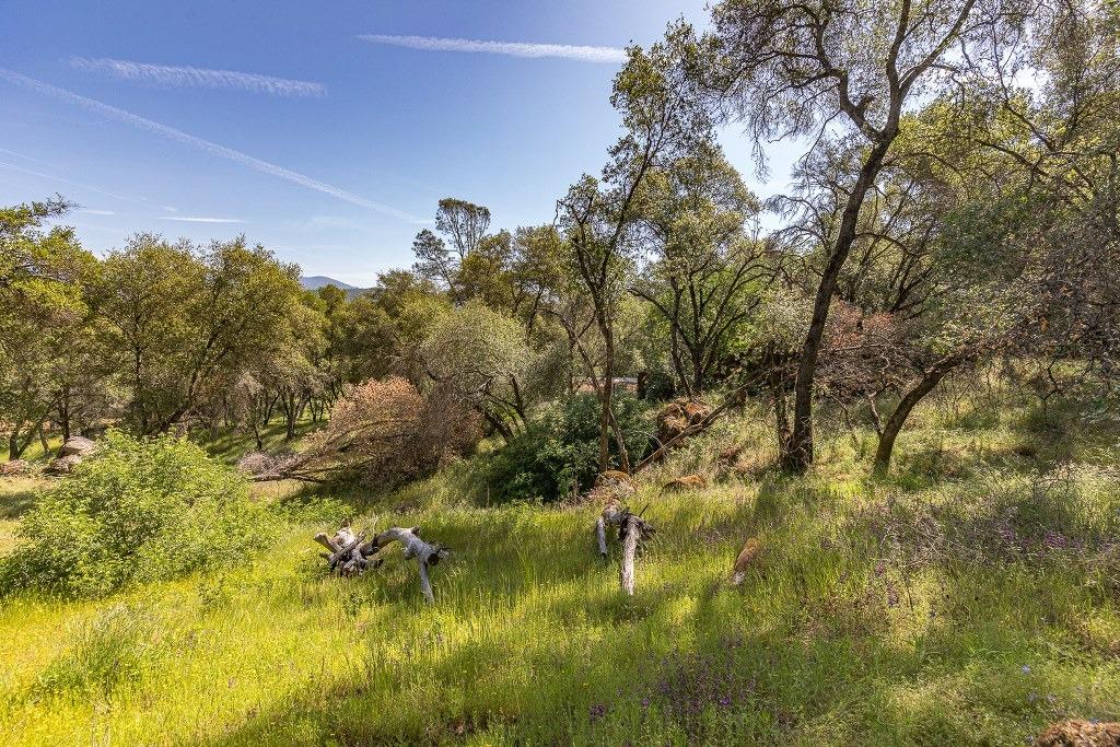 4269 Miwuk Road Mariposa, CA 95338 - Photo 59 of 68 Gallery Image 59