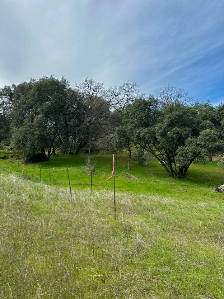 4269 Miwuk Road Mariposa, CA 95338 - Photo 6 of 68 Gallery Image 6