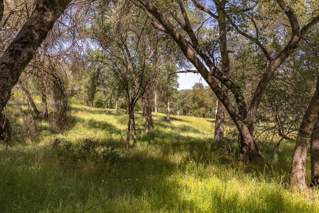 4269 Miwuk Road Mariposa, CA 95338 - Photo 61 of 68 Gallery Image 61