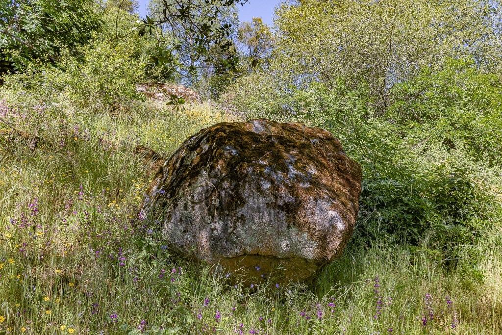 4269 Miwuk Road Mariposa, CA 95338 - Photo 64 of 68 Gallery Image 64