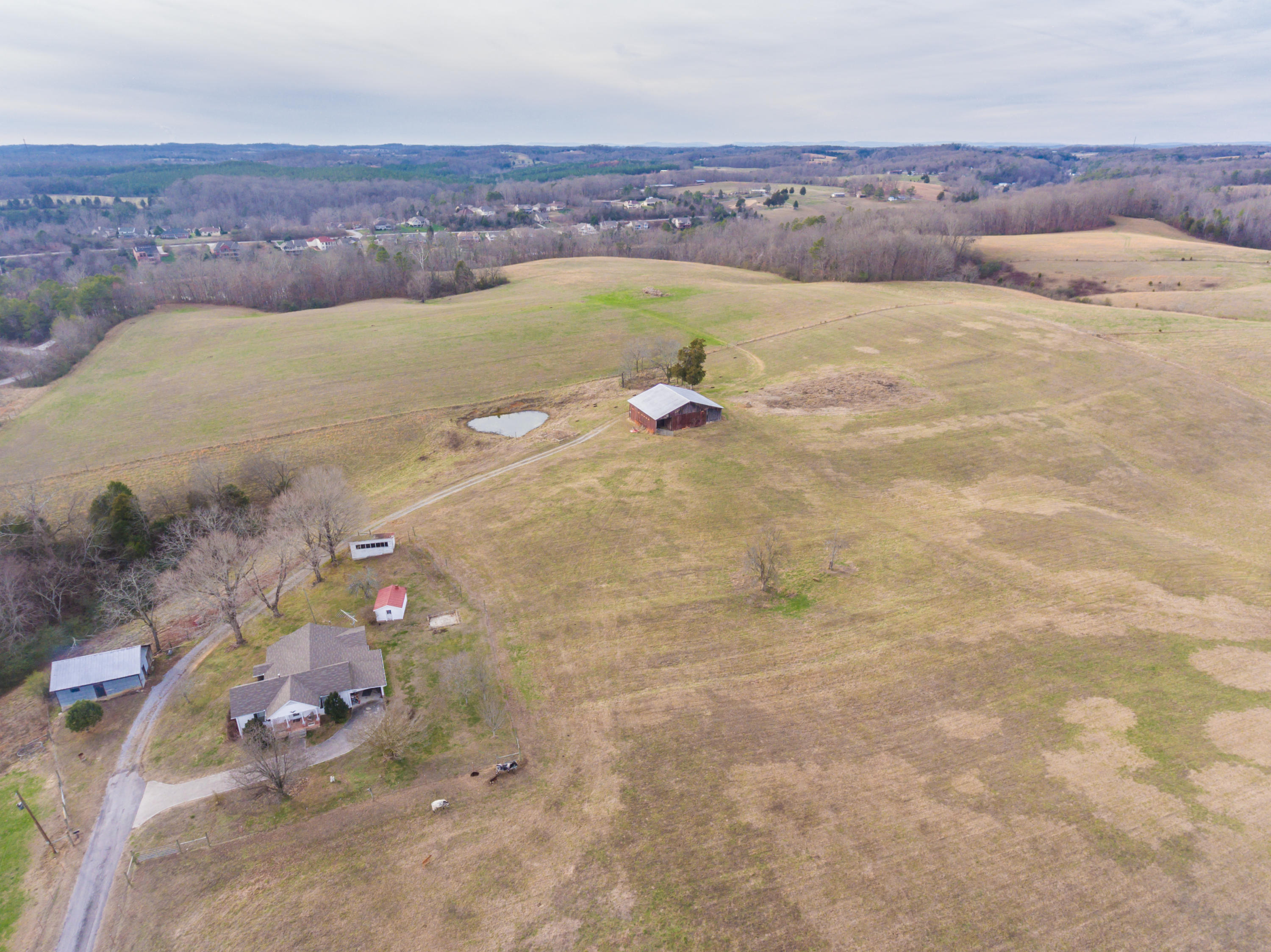 1440 Myrtle Road Loudon, TN 37774 - Photo 11 of 26 1440MyrtleRd-12