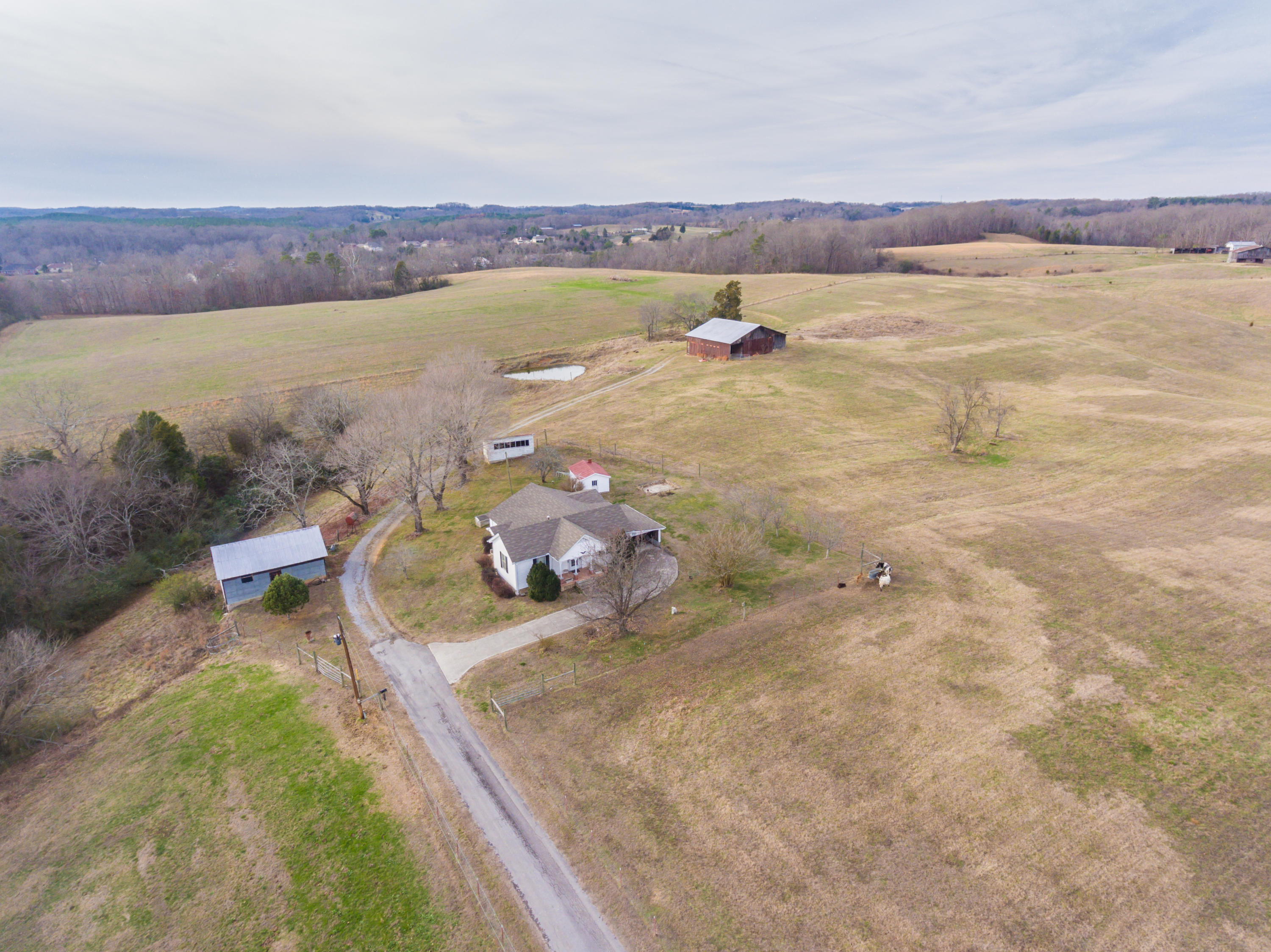 1440 Myrtle Road Loudon, TN 37774 - Photo 12 of 26 1440MyrtleRd-13