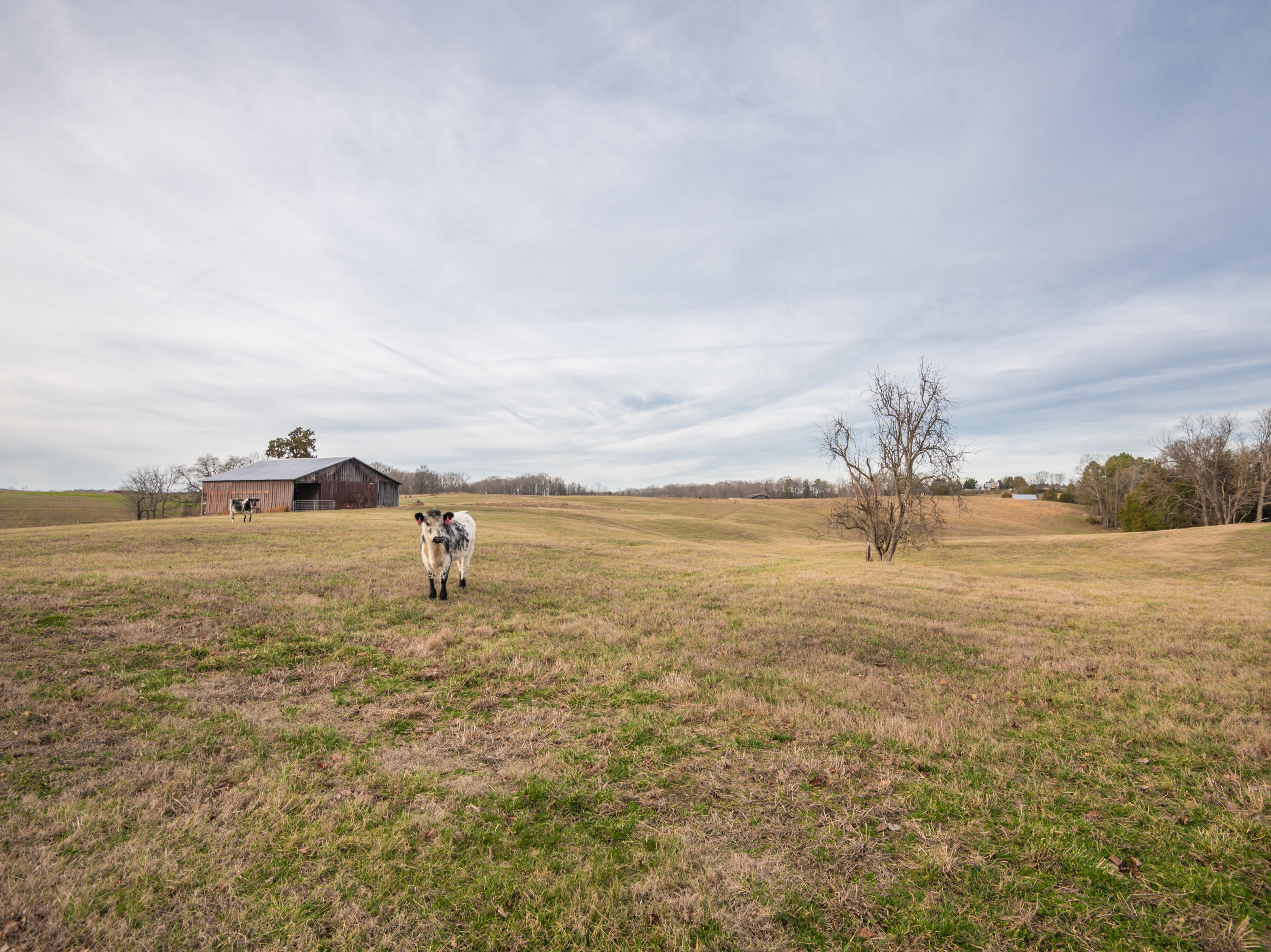 1440 Myrtle Road Loudon, TN 37774 - Photo 17 of 26 1440MyrtleRd-18