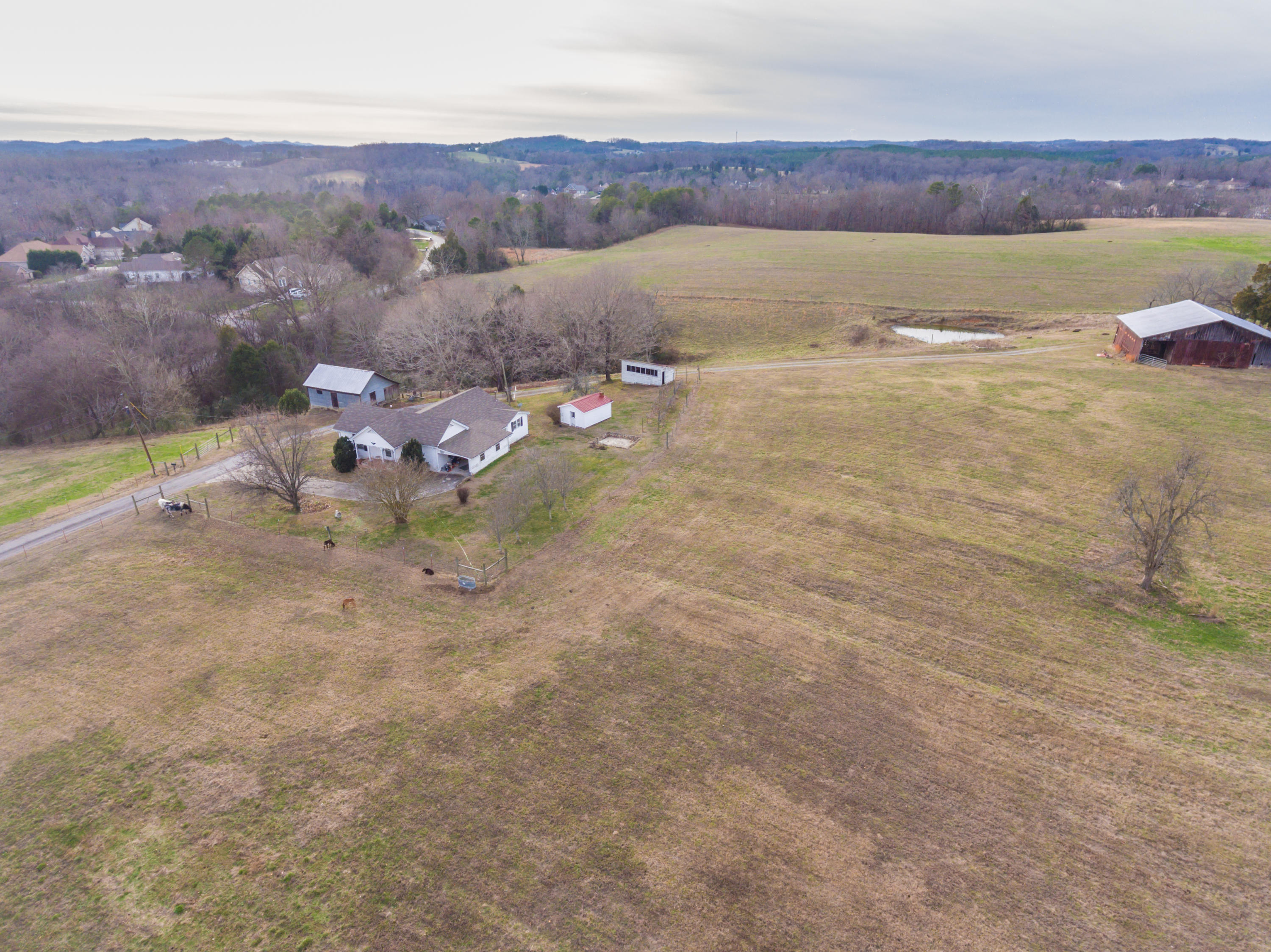 1440 Myrtle Road Loudon, TN 37774 - Photo 6 of 26 1440MyrtleRd-6