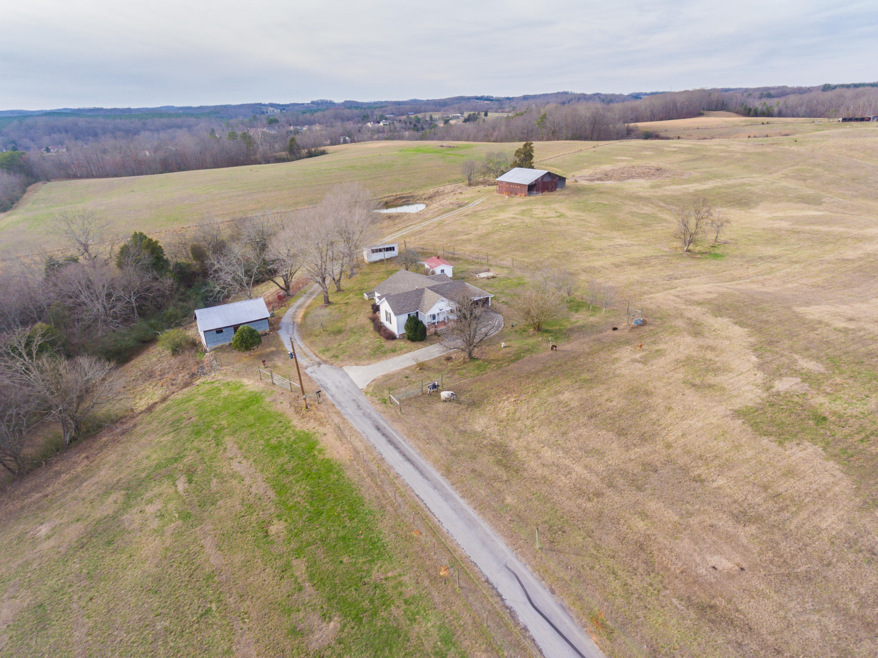 1440 Myrtle Road Loudon, TN 37774 - Photo 7 of 26 1440MyrtleRd-7