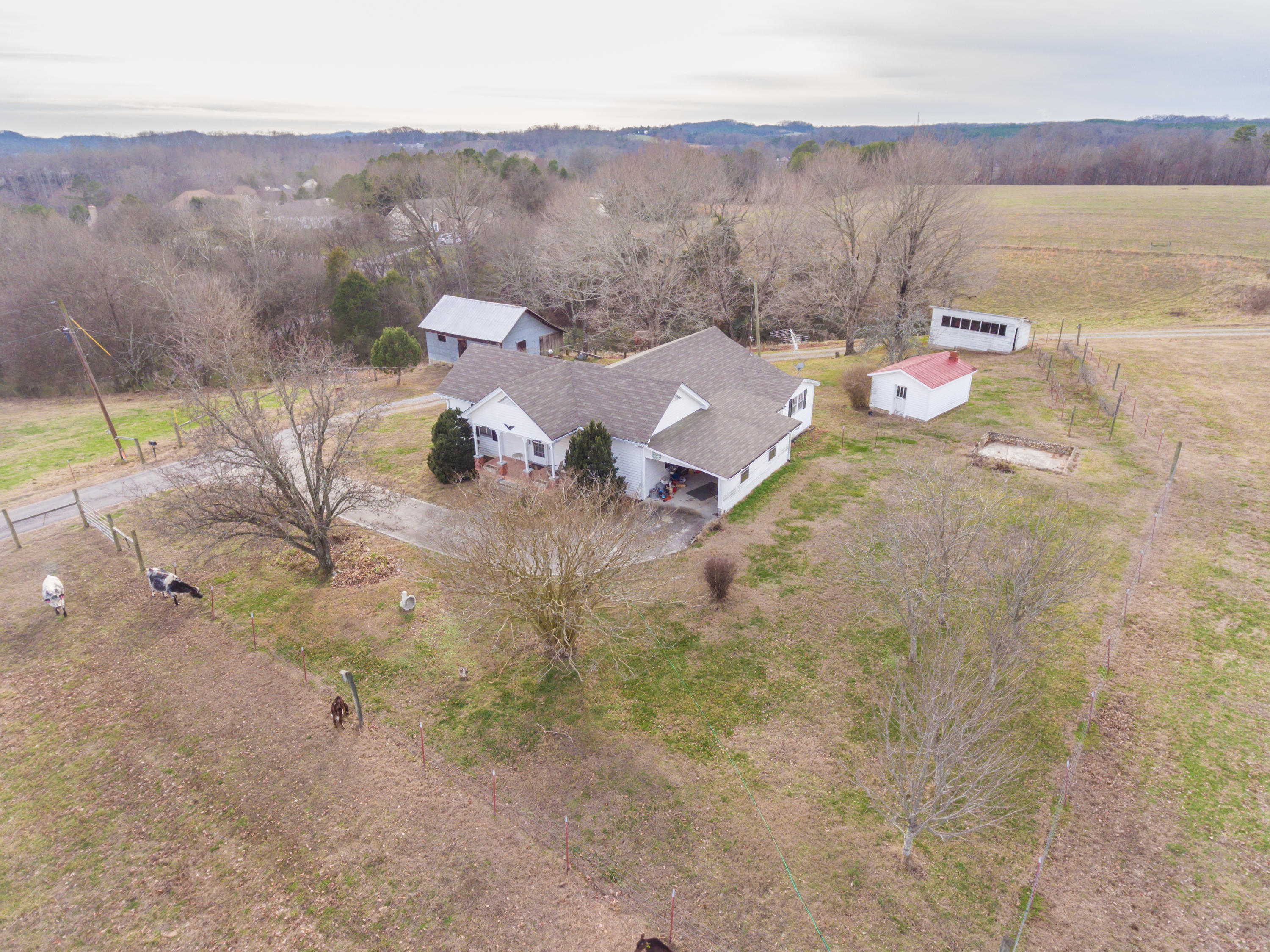 1440 Myrtle Road Loudon, TN 37774 - Photo 8 of 26 1440MyrtleRd-9