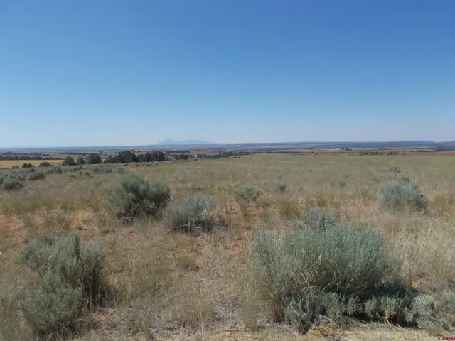 a view of a lake and trees