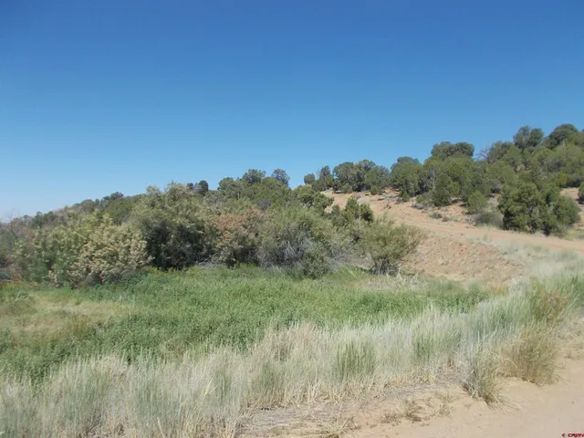 a view of a lush green field
