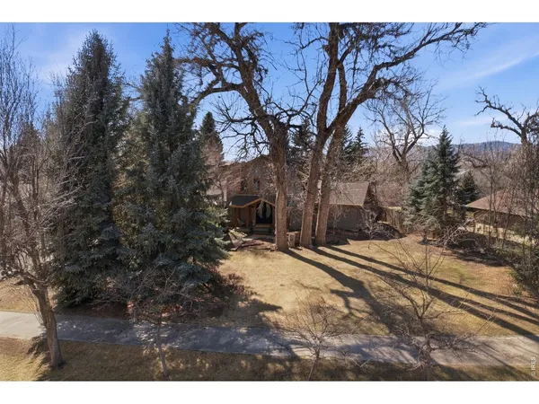 a view of a yard with trees
