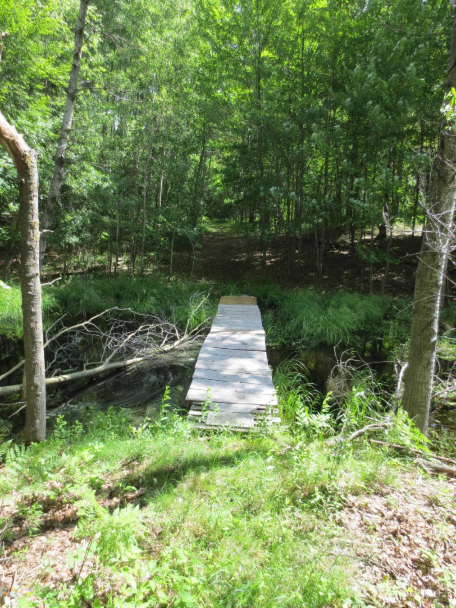 1542 South Sherman Road Remus, MI 49340 - Photo 13 of 37 IMG_1602