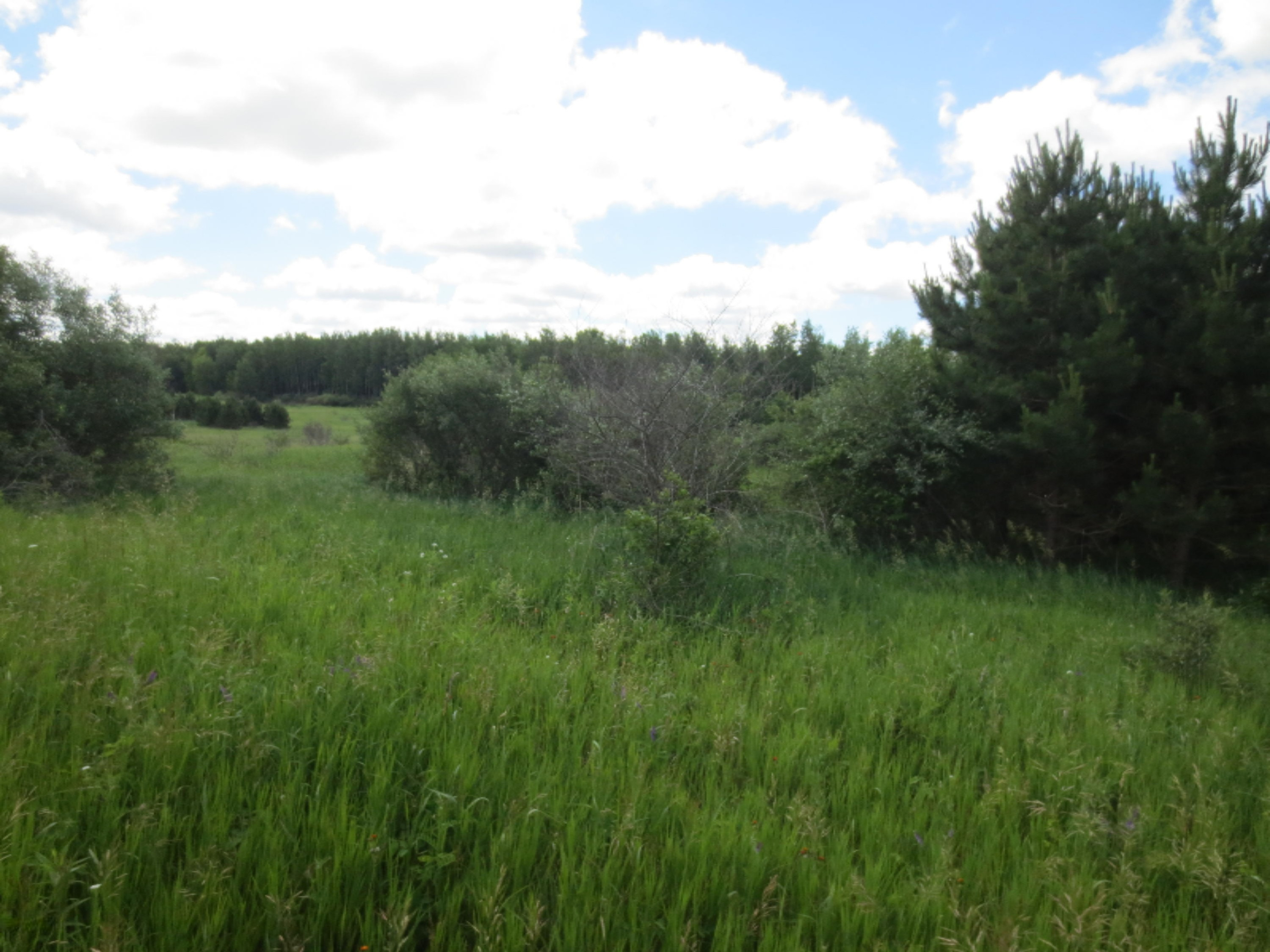 1542 South Sherman Road Remus, MI 49340 - Photo 27 of 37 IMG_1608