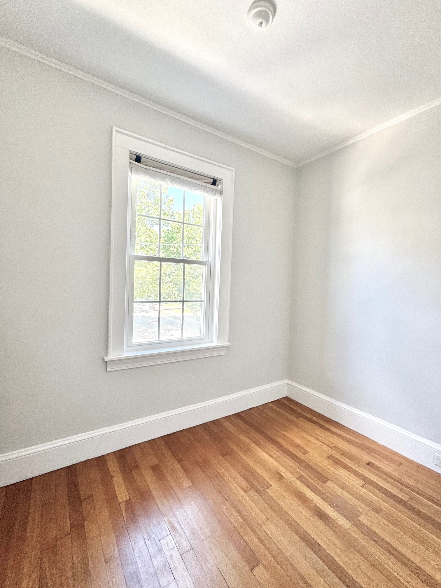 23 Benton Road Belmont, MA 02478 - Photo 19 of 23 Gallery Image 19