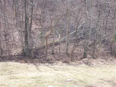 4320 Keefer Road Corinth, KY 41010 - Photo 4 of 8