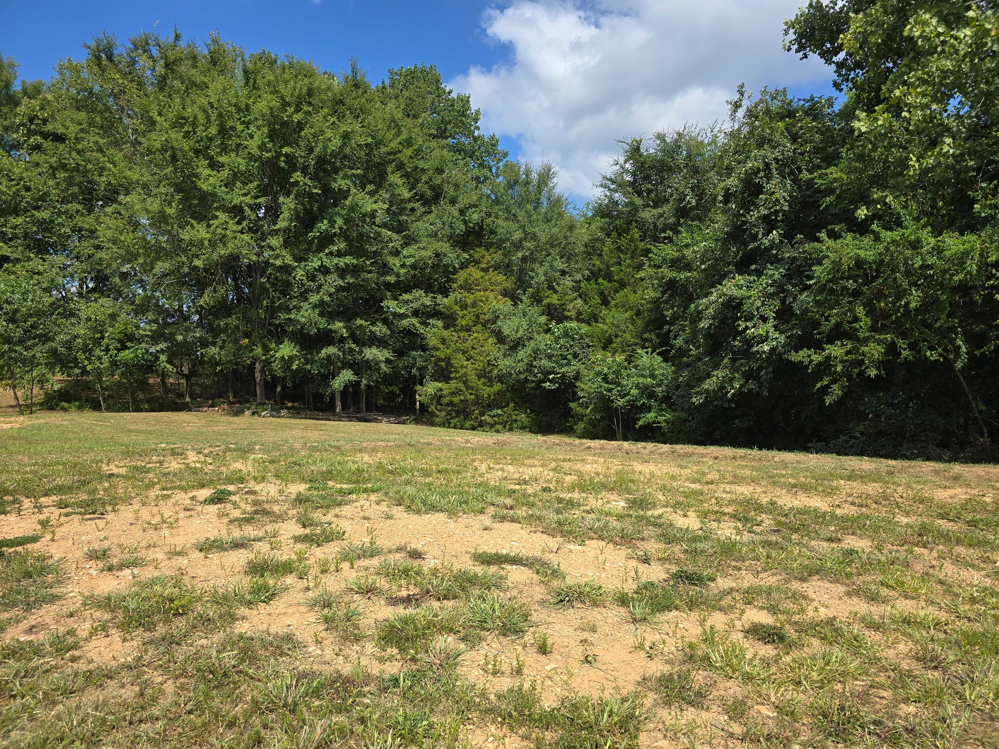 1363 Iron Bridge Road Columbia, TN 38401 - Photo 5 of 11 Gallery Image 5
