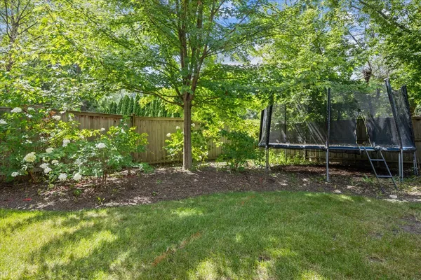 a backyard of a house with plants and large trees