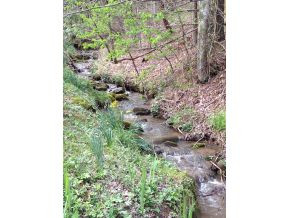 168 Carver Road Hampton, TN 37658 - Photo 2 of 12 Creek