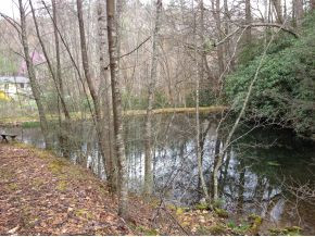 168 Carver Road Hampton, TN 37658 - Photo 3 of 12 Pond