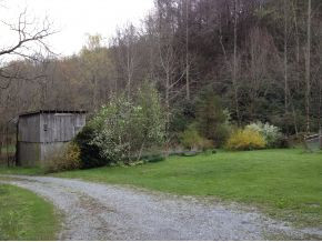 168 Carver Road Hampton, TN 37658 - Photo 5 of 12 2 stall barn