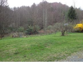168 Carver Road Hampton, TN 37658 - Photo 6 of 12 Fenced garden area