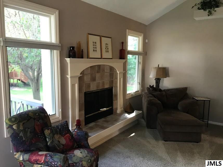 2401 Ridgeway Road, Unit 2 Jackson, MI 49203 - Photo 4 of 17 Photo 4
