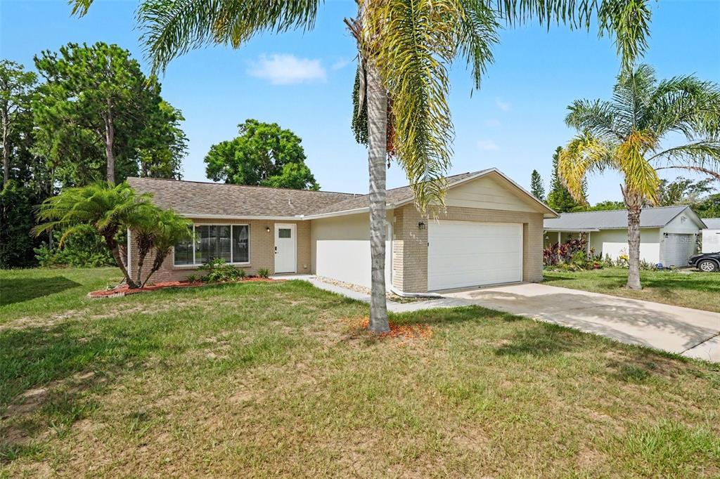 6822 Lassen Avenue New Port Richey, FL 34655 - Photo 2 of 18